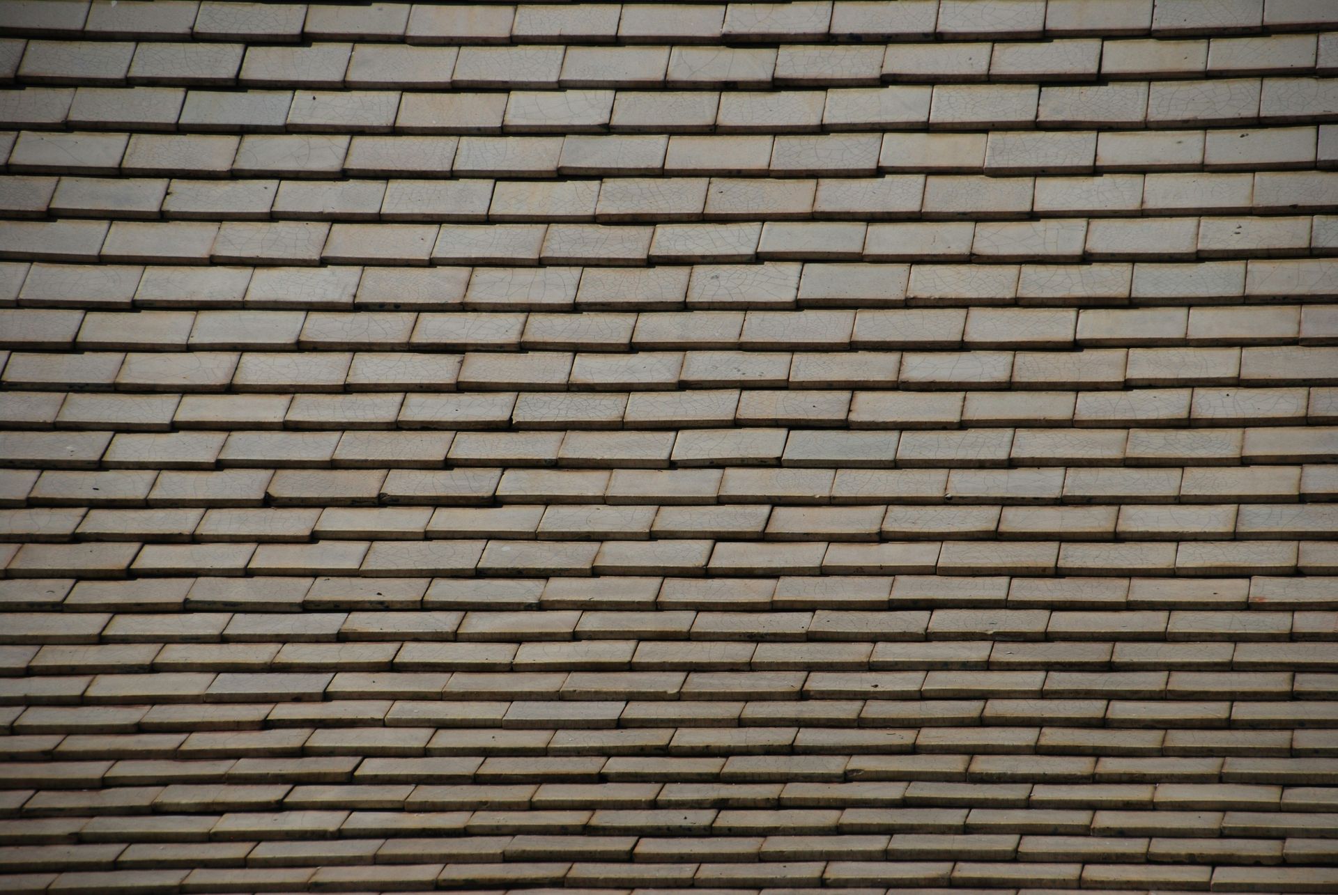 a bird is perched on the roof of a building
